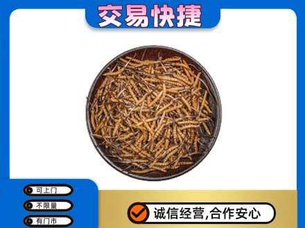 青岛城阳区回收散虫草